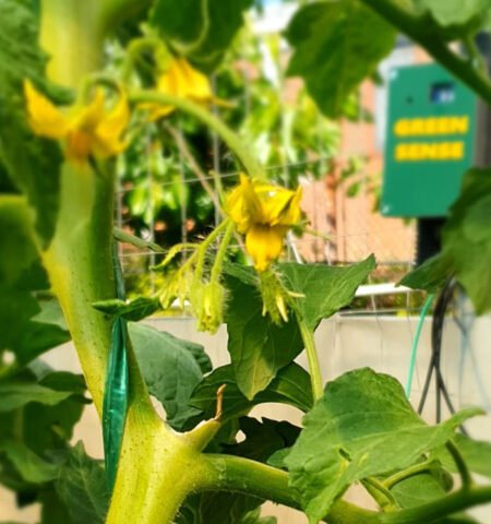 Precision agriculture